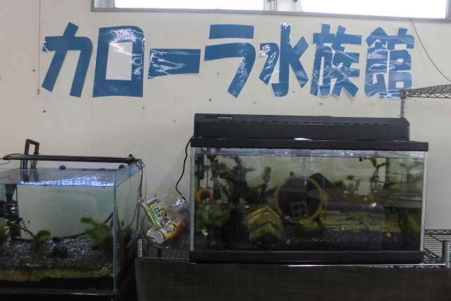 ショールーム4