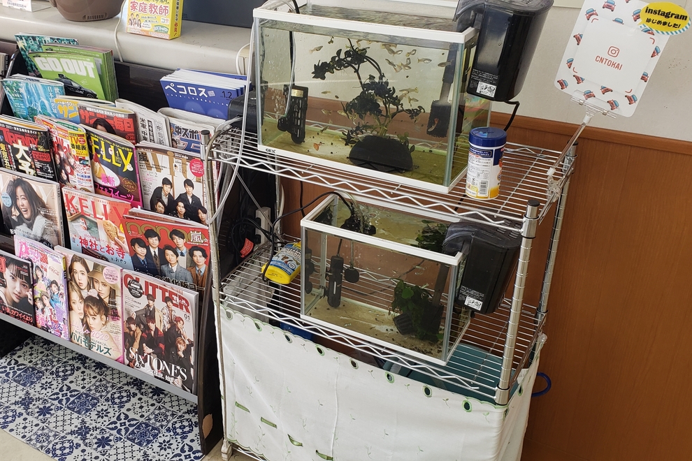 東海富木島_本棚と水槽
