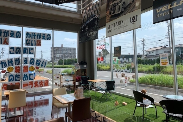 image4 ドッグ