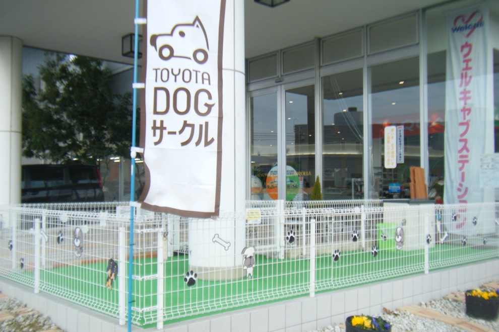 豊田寿店