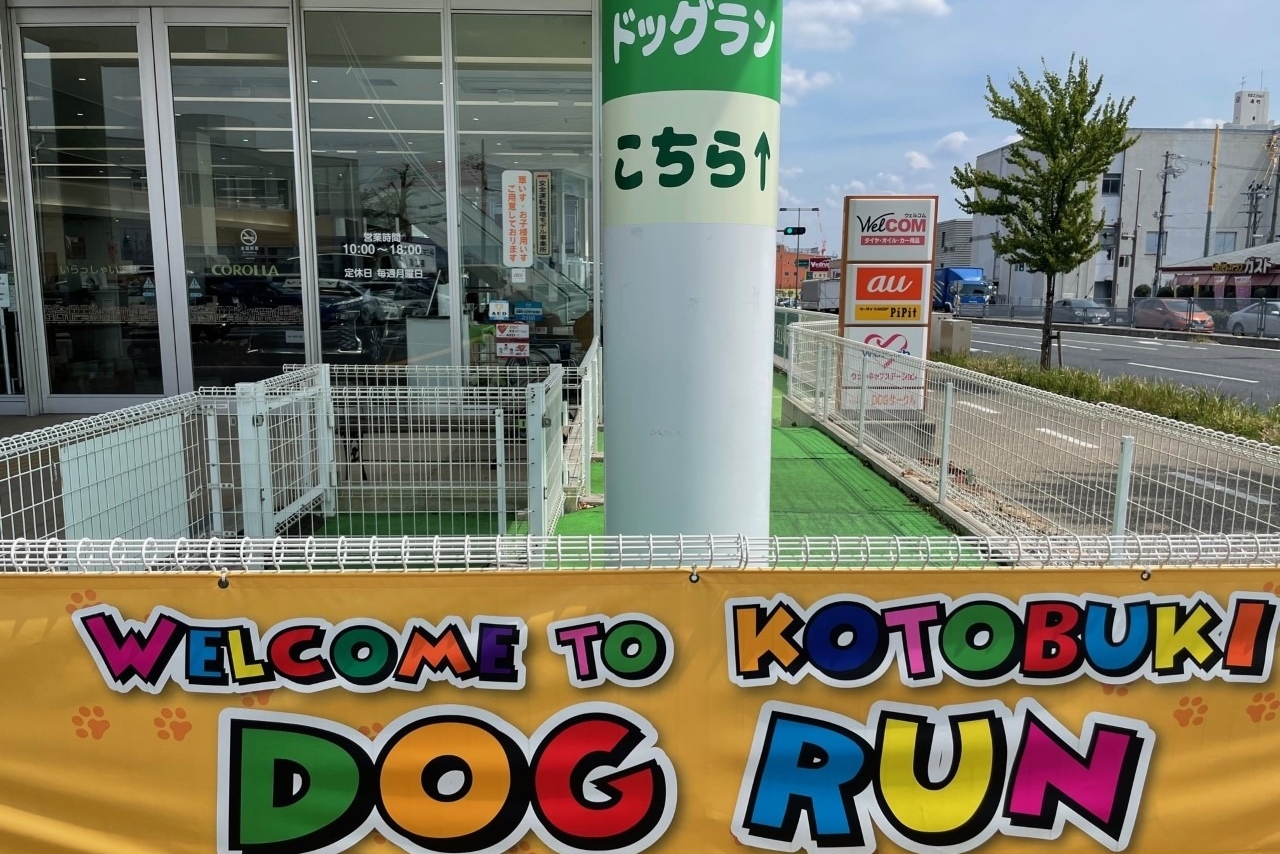 豊田寿8_ドッグラン
