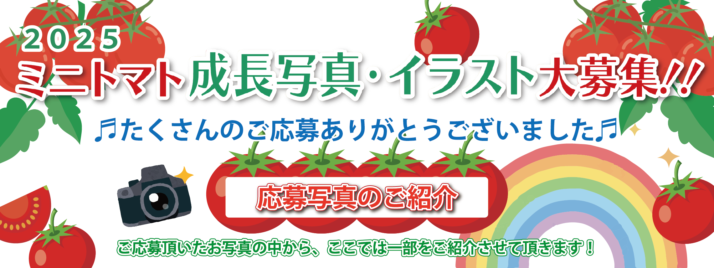 ミニトマト成長写真大募集2025 | トヨタカローラ名古屋