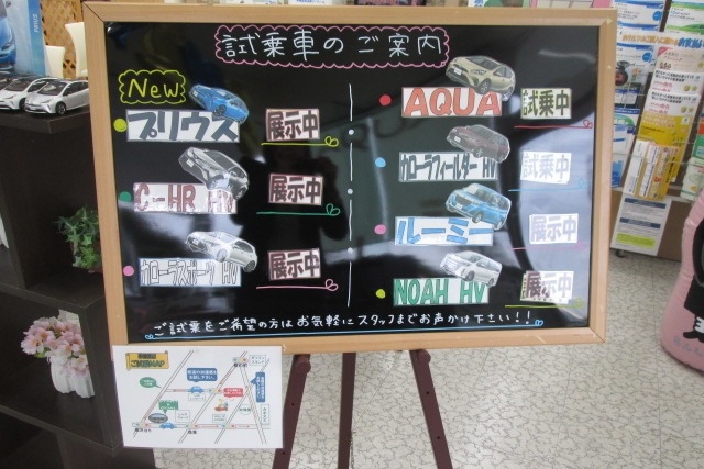midori_2