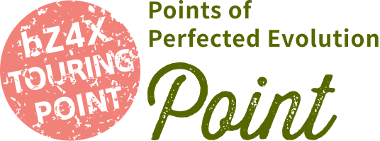 bZ4X TOURING POINT　Points of Perfected Evolution　Point